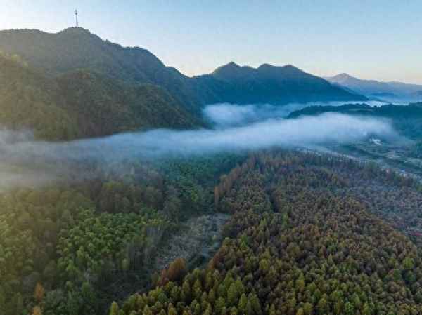 宣城文化—宣城文化历史