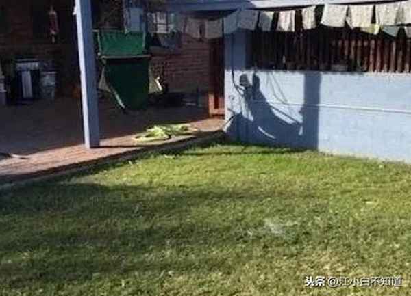 洞口县个人急售二手房-洞口县二手房最新房源