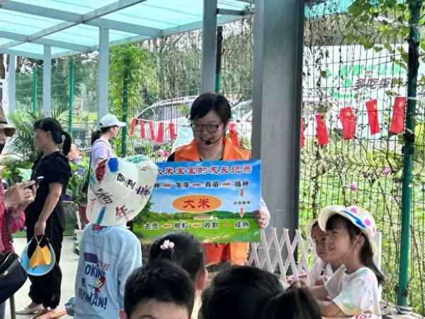 收稻子的感悟和心得_農民收稻谷辛苦的句子