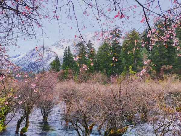 九寨沟旅游朋友圈文案,九寨沟简短美句