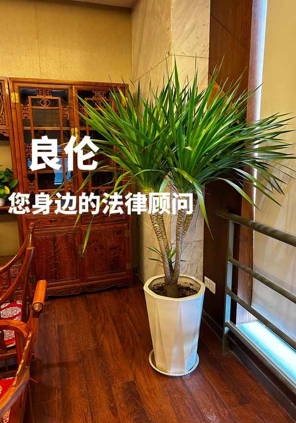 購(gòu)銷(xiāo)合同簡(jiǎn)潔版免費(fèi)(購(gòu)銷(xiāo)合同簡(jiǎn)單版)
