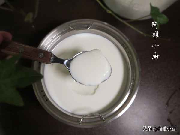 沒有菌種怎么做酸奶、沒有酸奶和酸奶菌怎么做酸奶