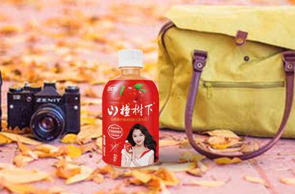 山楂飲料哪個牌子最正宗,山楂茶飲料有哪些品牌