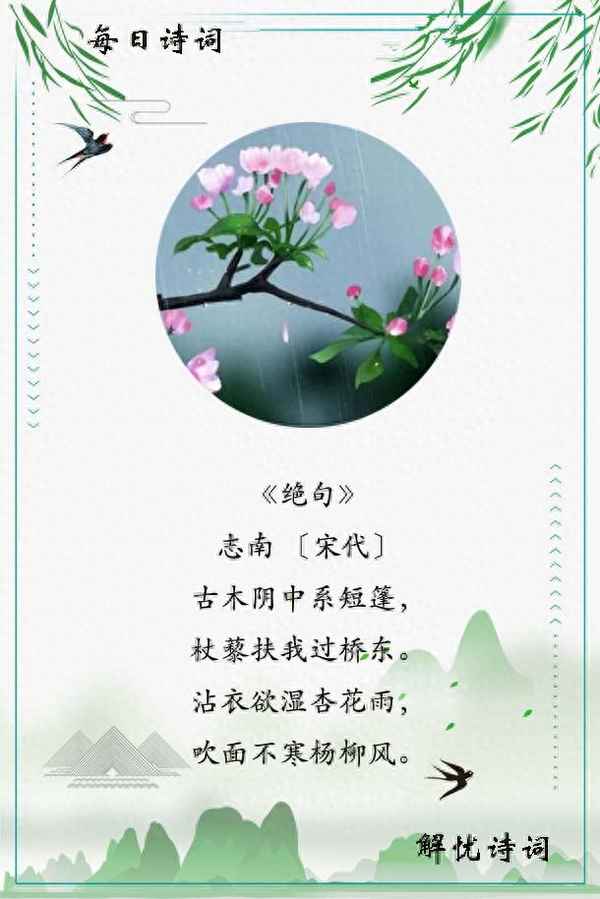 史上最美的一首杏花诗(杏花诗句经典名句)