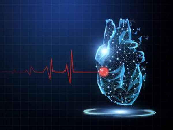 五毛的财经单词本-五毛的财经单词本app