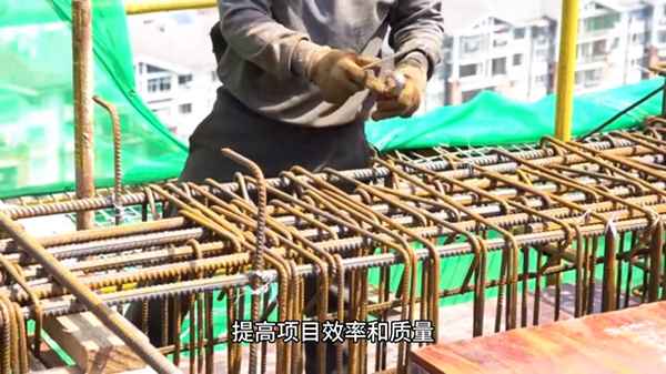 項目工作總結精辟簡短;個人工作總結(個人通用)