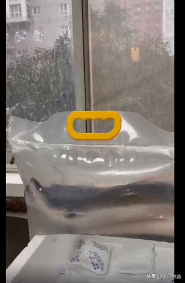 殺白鱔的方法步驟圖解—如何殺白鱔魚(yú)視頻