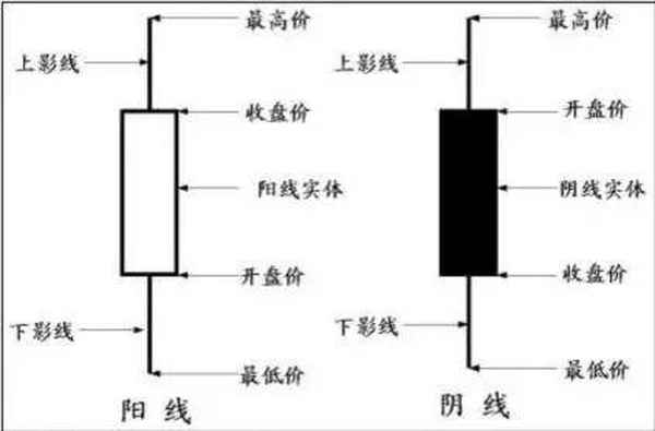 陽萎縮是什么意思-什么叫陽萎縮