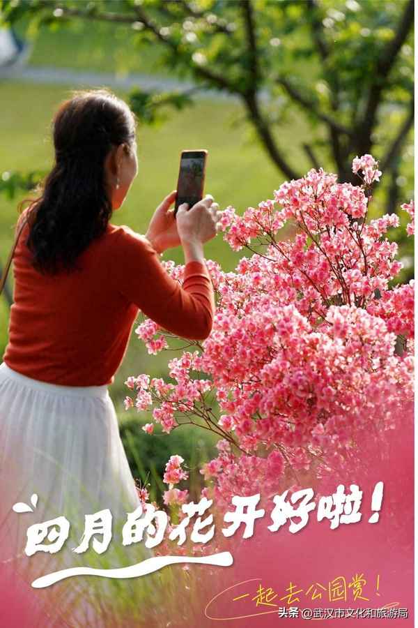 武汉市文化局—武汉市文化局处长名单