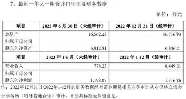中持股份是一家什么公司(中持股份是央企吗)
