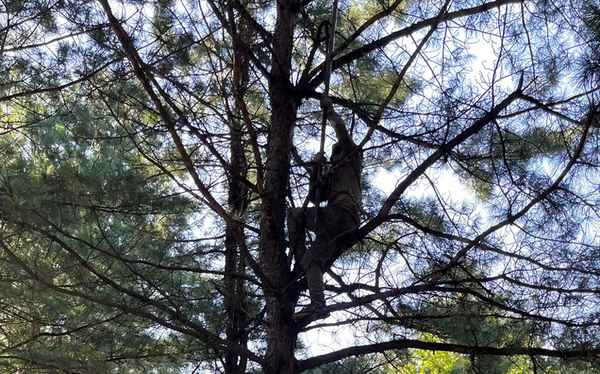 南京三松仁里交房了吗-南京三松仁里