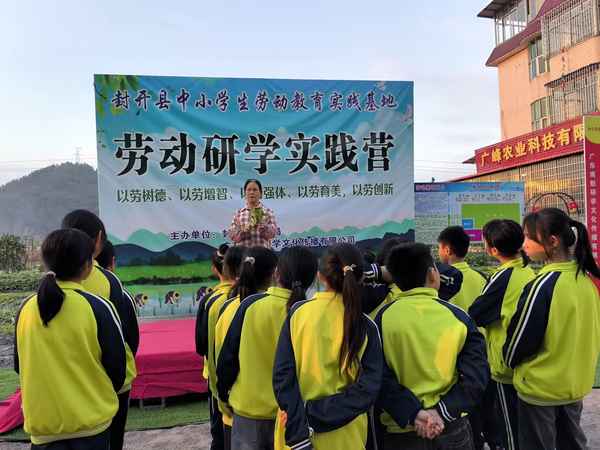 封開縣教育局,封開縣教育局副局長