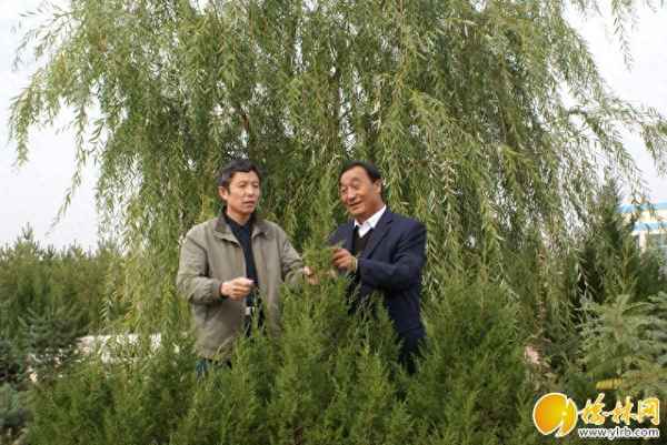 定边盐化厂联系电话;陕西定边盐