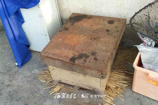 偷一箱蜜蜂犯罪嗎-偷一箱蜜蜂犯罪嗎判幾年