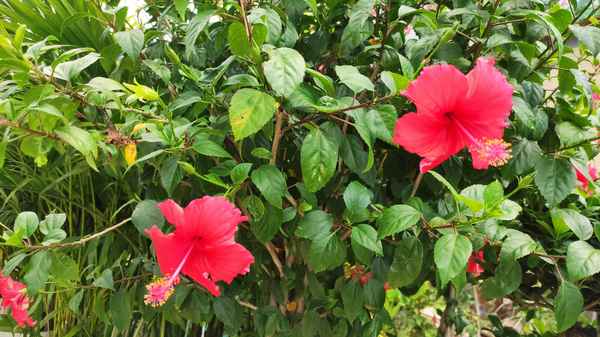 诗经豳风七月的注释-诗经 豳风 七月