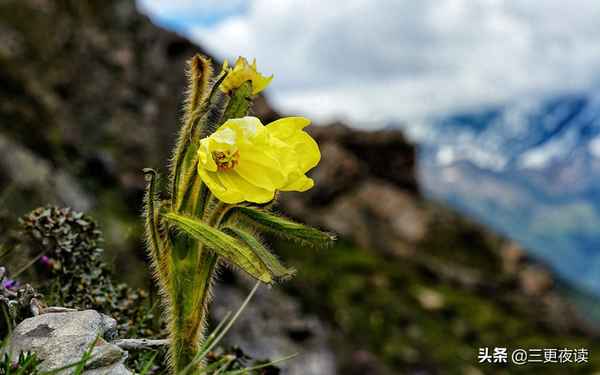海到天边天作岸的下一句,海到远处天作岸