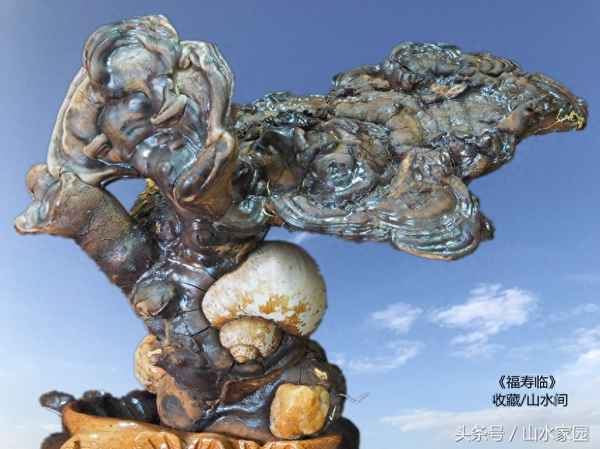 暖流優(yōu)秀作文350—以暖流為話題的作文600字