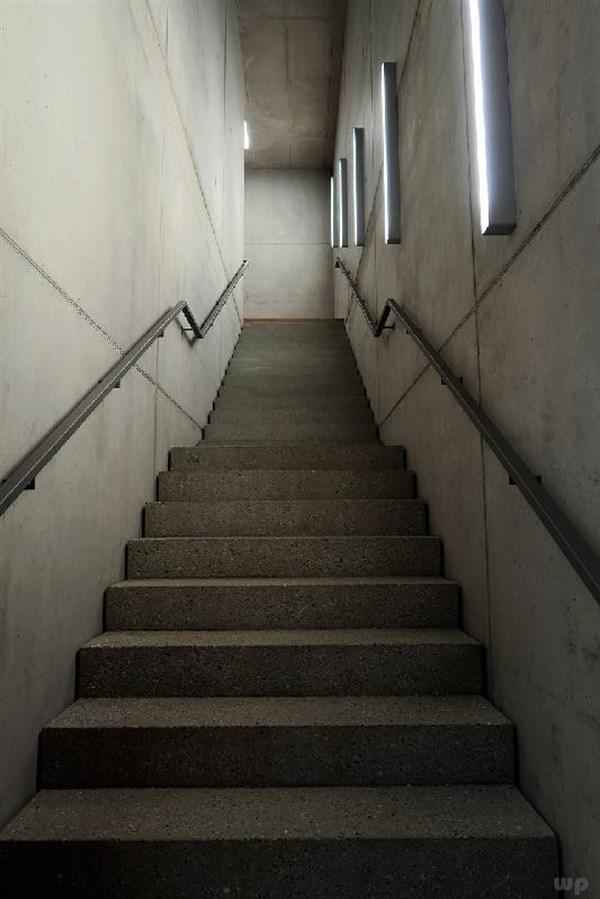 爬與健康(爬行運動對身體有什么好處教案)