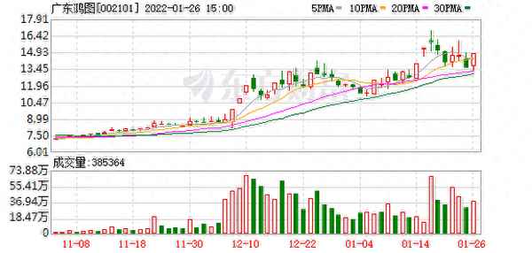 广东宏图股票股吧_st宏图股票