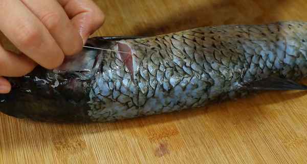 家常燒草魚的做法大全、燒草魚怎么做