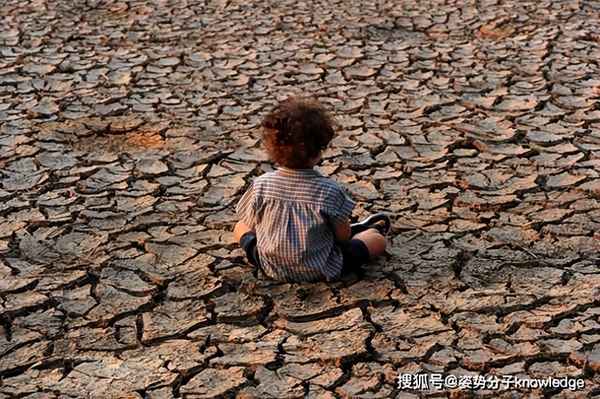 旱的旱涝的涝是什么意思(旱的旱死涝的涝死的深层含义)