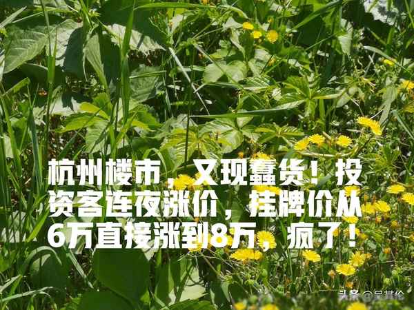 房產亂象;房地產亂象專項整治行動