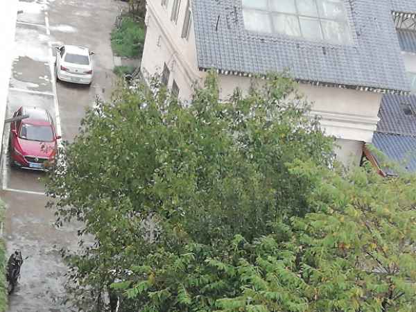 科三5次不合格有補救嗎,科三5次不合格有補救嗎,交錢可以嗎