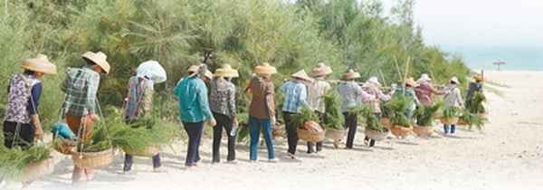 海南1996年台风叫啥—海南1996年台风叫啥名字来着