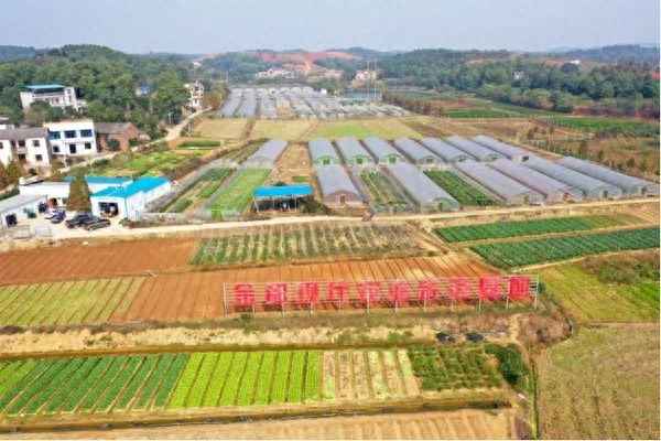 看图猜成语两盆花放光芒(形容两朵花的成语)