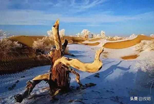 圣邦股份8月21日快速反弹;圣邦股份2023二季度业绩预告