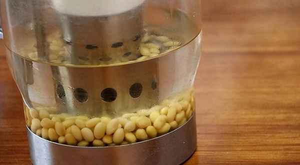 手指盖宽怎么回事;手指盖长的厚什么原因