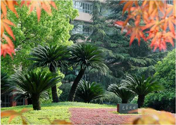 西南财经大学保险,西南财经大学保险专硕