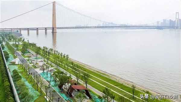 白沙洲長江大橋可以走人嗎_白沙洲長江大橋是哪個公司承建的
