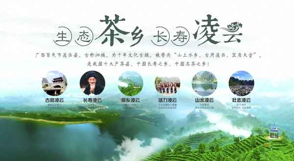 百色芩王老山特產(chǎn),百色岑王老山風(fēng)景區(qū)怎么去