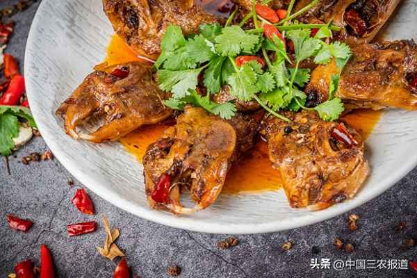 跳水兔是什么意思—跳水兔的由來(lái)