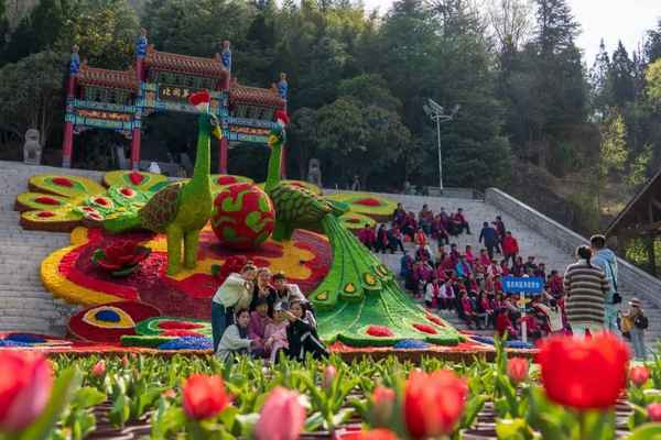 河南雞冠洞景區(qū)介紹,河南旅游景點(diǎn)雞冠洞