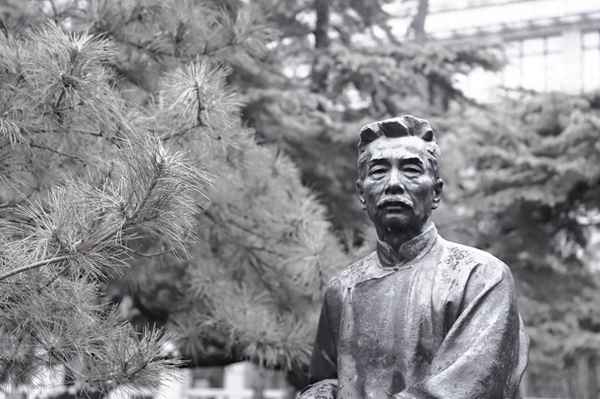 童年讀后感500字左右六年級作文,童年讀后感600字作文小學(xué)