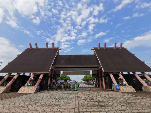 上海動物園值得去嗎,為啥說盡量別帶孩子去海洋館