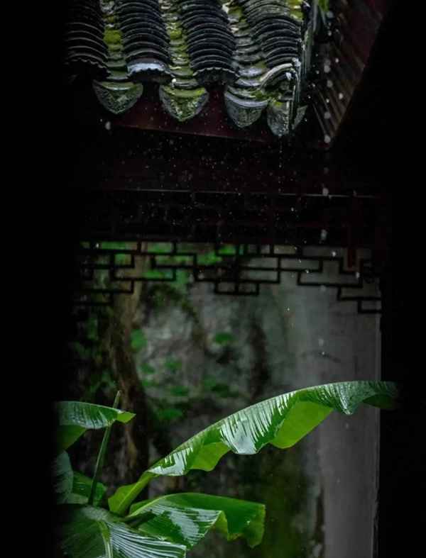 独坐窗前听风雨,雨打芭蕉声声泣(独坐窗前听风雨,雨打芭蕉声声泣作者)