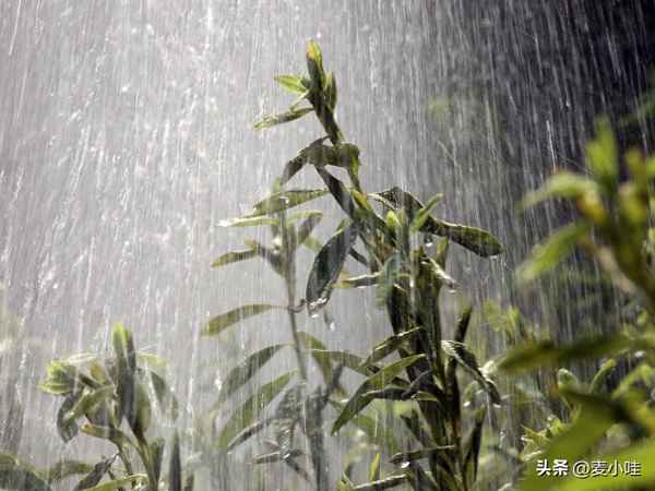 上海的空气质量指数-空气污染6个指标