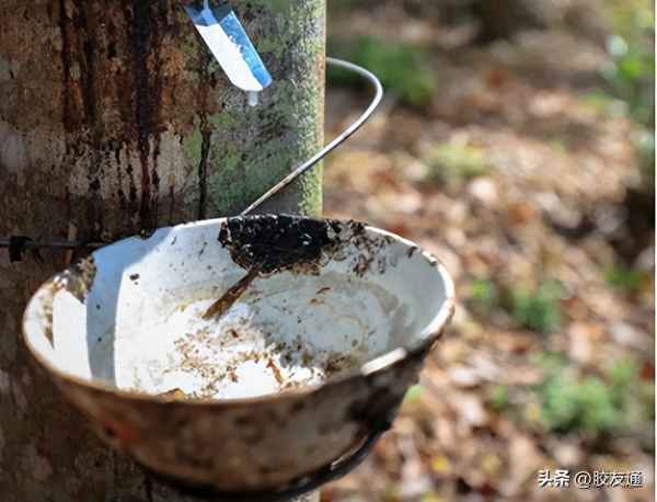 日本橡胶期货行情今天、日本橡胶期货实时走势