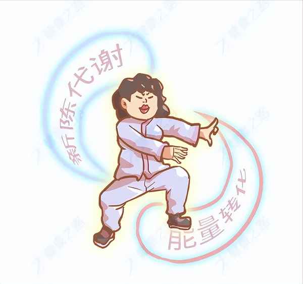 健康之路補氣血(健康之路補氣血的方子)