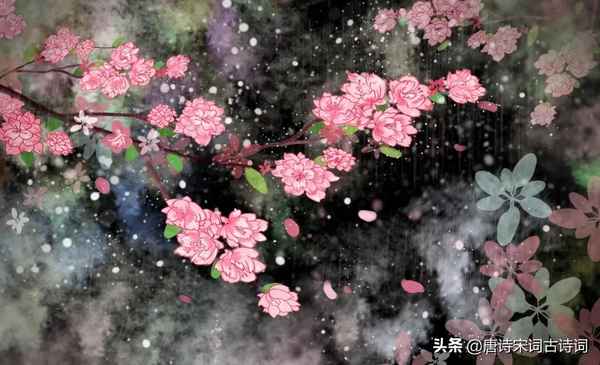 落红不是无情物化作春泥更护花、落红不是无情物化作春泥更护花表达了诗人怎样的感情