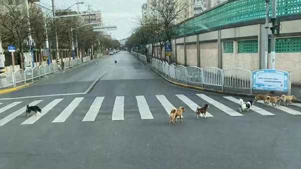 攀登者觀后感150字,觀攀登者電影有感500字