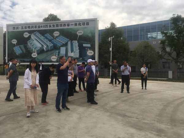 綿陽三臺麥冬種植基地(2021年綿陽三臺麥冬價格)