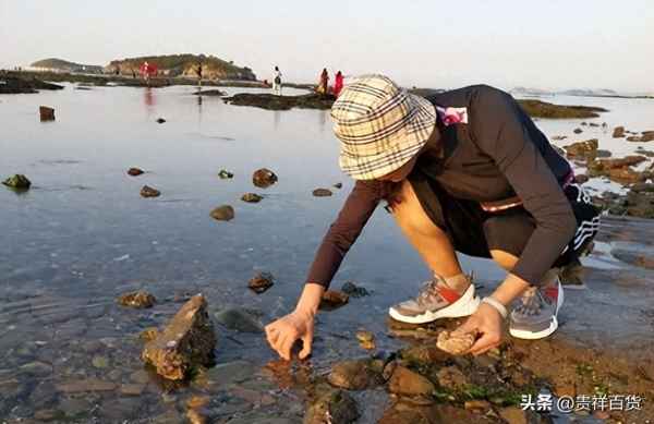 2023年赶海最新视频(最新的赶海)