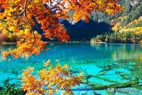 九寨溝最漂亮的湖(九寨溝色彩最美的湖泊要數五花海了)