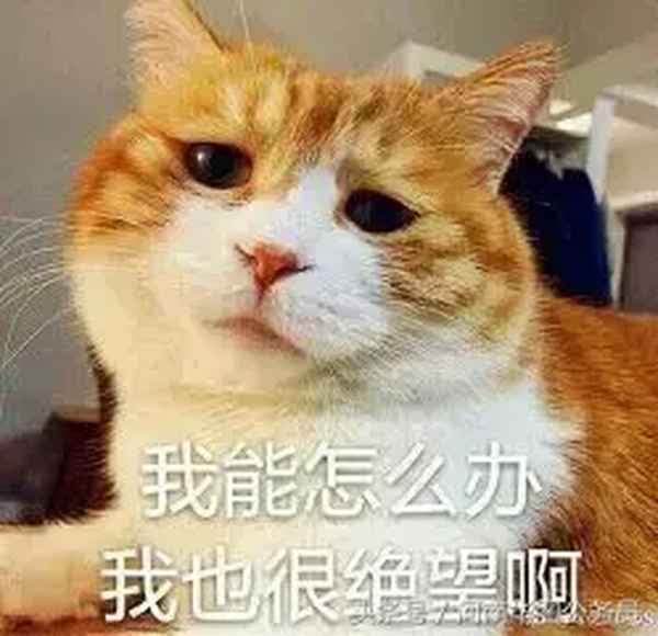 新縣華圖教育;口碑比較好的公考機構