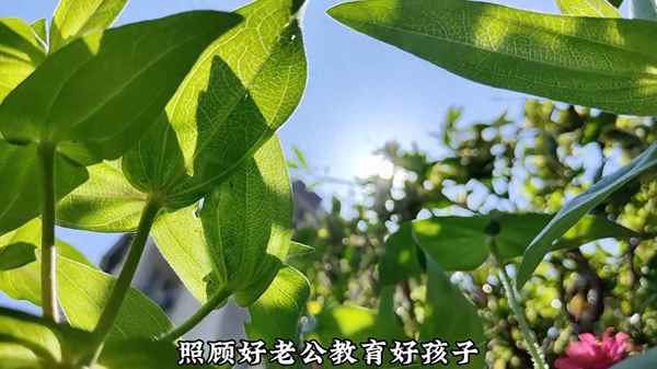 能帶兩個(gè)孩子的電動(dòng)車(chē)_能帶兩個(gè)孩子的電動(dòng)車(chē)有哪些
