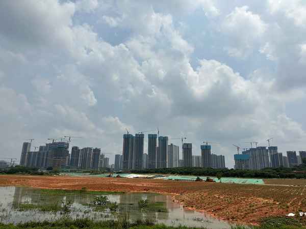 光明房產(chǎn)_光明地產(chǎn)董事長沈宏澤